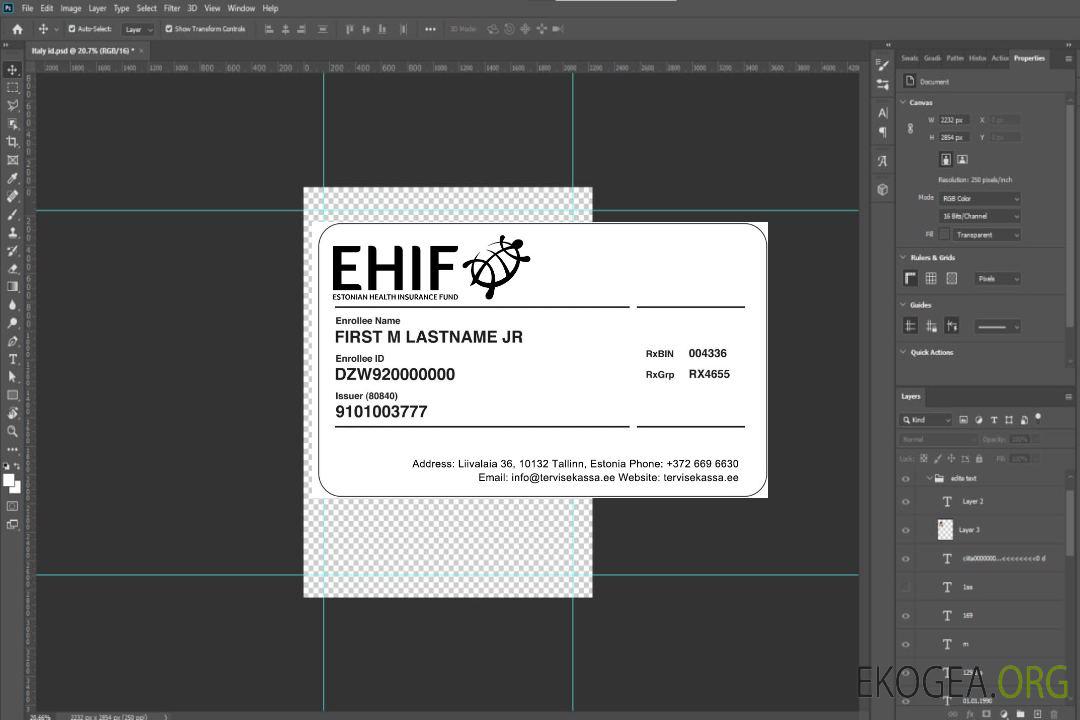Carte d'assurance maladie estonienne template